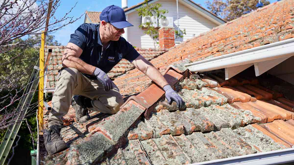 RACV tradie doing roofing work on lichen-overgrown roof tiles