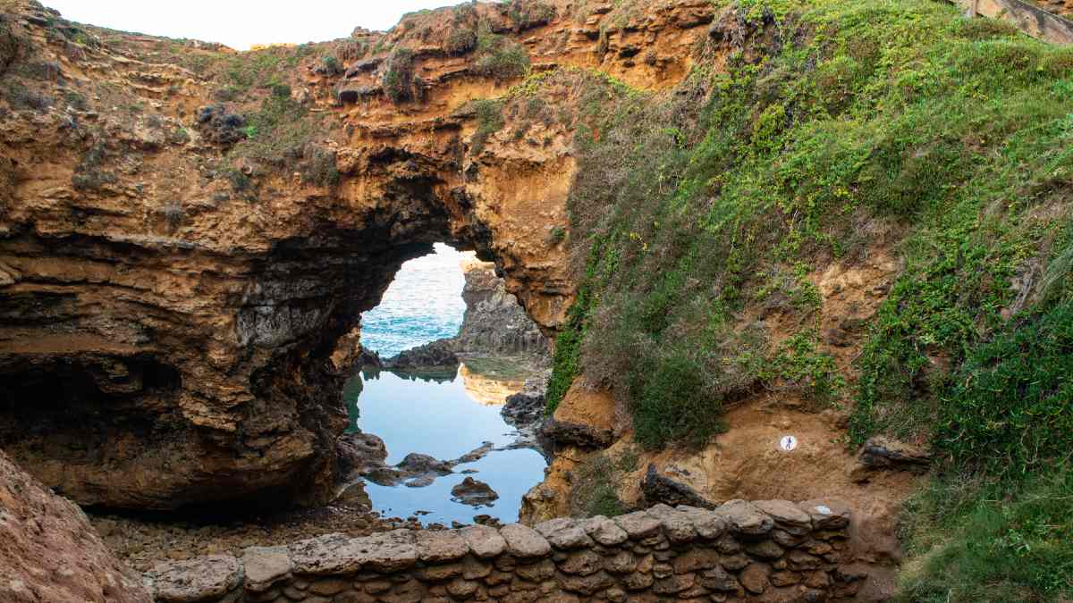 The Grotto